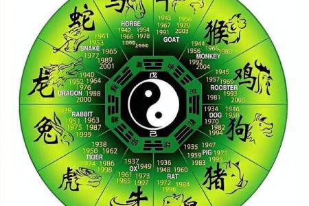 来龙去脉打一生肖(来龙去脉打一生肖正确数字)