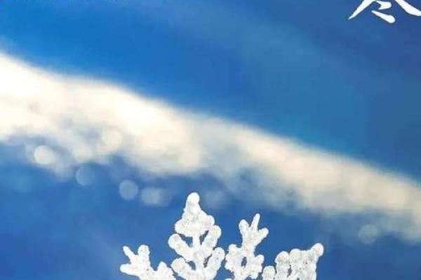 小寒大寒冻成一团是什么意思