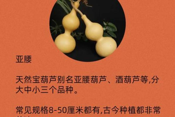 闷嘴葫芦是什么生肖(闷嘴葫芦是什么生肖)