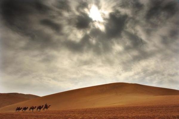 山穷水尽打一最佳生肖(请问山穷水尽是什么生肖)