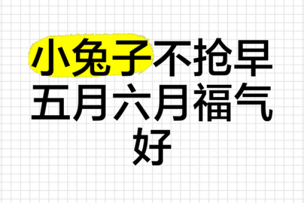 属兔五月搬家吉日(属兔五月搬家吉日有哪几天)
