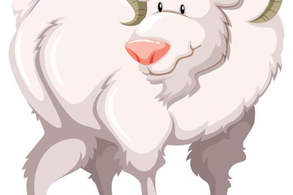 金屋藏娇是什么生肖动物(金屋藏娇是指什么生肖)