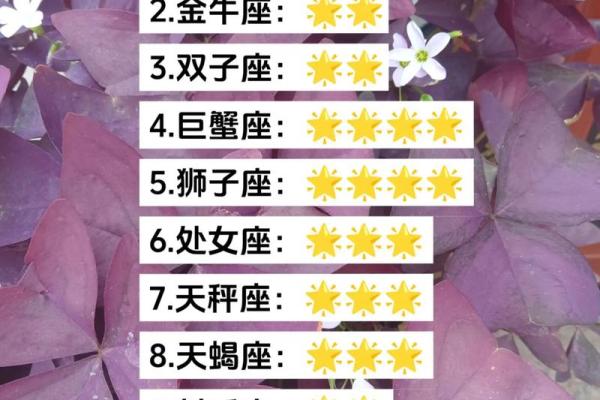 今日十二星座运势解析谁将迎来好运连连