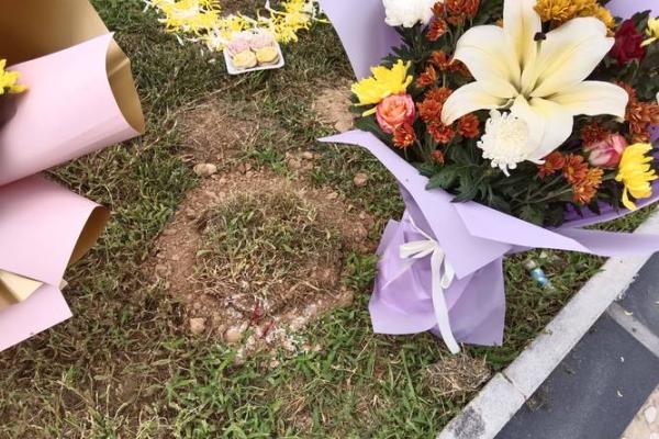 坟上动土有什么讲究(坟上动土了,怎么化解)