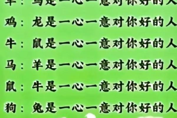 一心一意打一生肖(一心一意打一生肖是什么动)