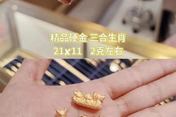 同舟共济打一正确生肖(同舟共济打一正确生肖动物)