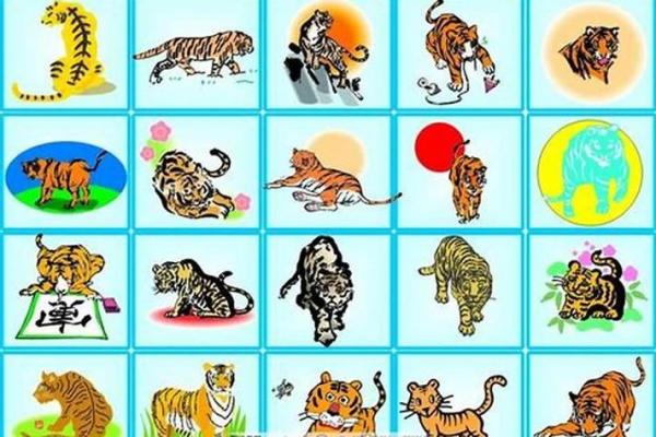 黑灯瞎火指什么生肖(黑灯瞎火是属于什么生肖)