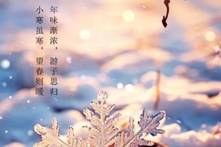 小寒大寒冻成一团是什么意思