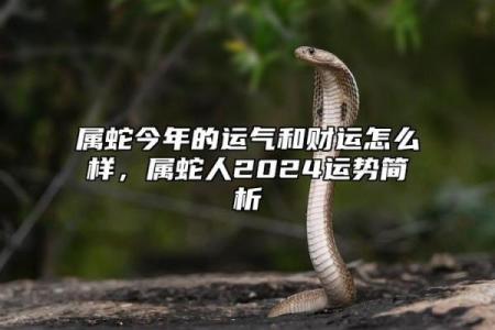 属蛇的人今年能动土吗(属蛇的人今年能动土吗好吗)