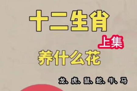 大败而逃是什么生肖(大败而逃是什么生肖动物)