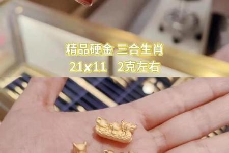 同舟共济打一正确生肖(同舟共济打一正确生肖动物)