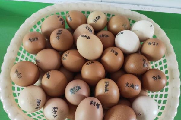 春分竖鸡蛋 春分竖鸡蛋