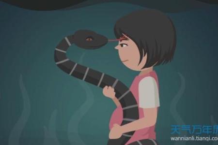 梦见好多蛇是什么预兆 女性解梦