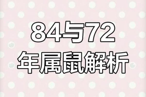 属鼠的今日运势十二星座_属鼠今日运势解析十二星座运势大揭秘
