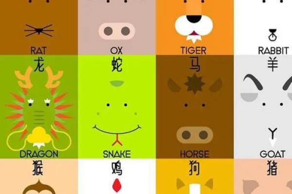左支右绌是什么生肖(左支右绌是什么生肖数字)