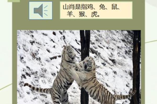 宫中生肖是指哪几个(宫中生肖有哪些) 宫中生肖是指哪几个(宫中生肖有哪些)