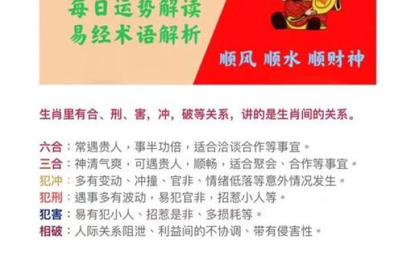 五字当头居天下生肖(五字当头居天下解释什么生肖)