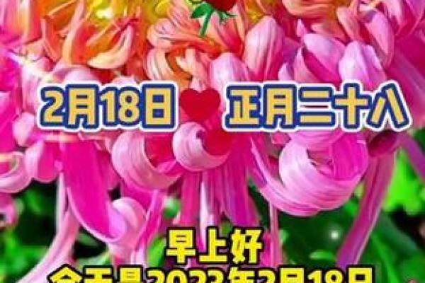 二月那天日子好