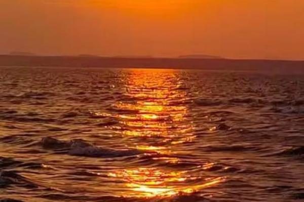 夜不能寐是什么生肖(夜不能寐是什么动物)