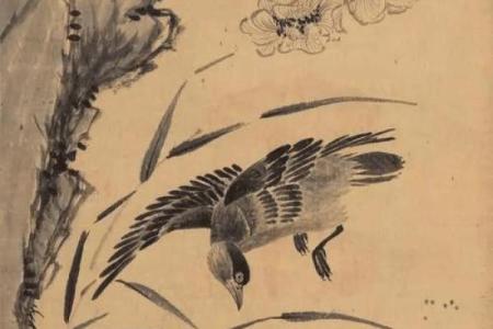 鸳鸯戏水是什么生肖(鸳鸯戏水打一成语)