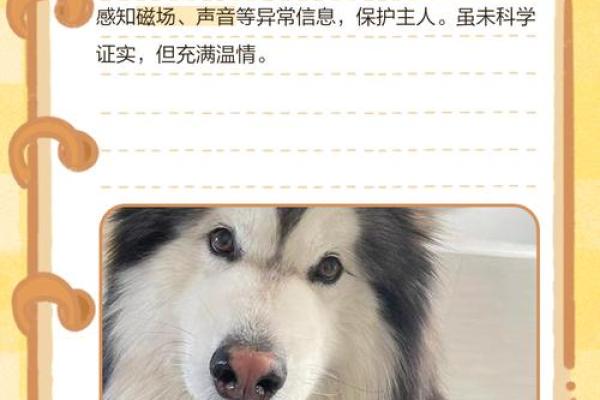 梦见打死狗有什么预兆