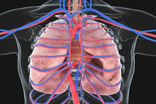 梦见男人吃自己乳房是什么意思
