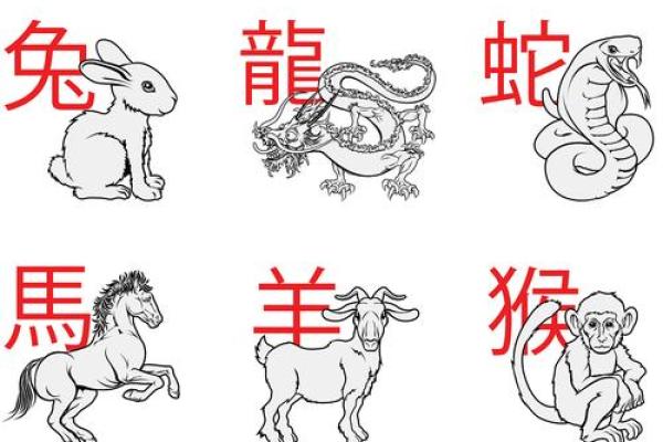 光说不练是什么生肖(光说不练是什么生肖正确答案) 光说不练是什么生肖(光说不练是什么生肖正确答案)