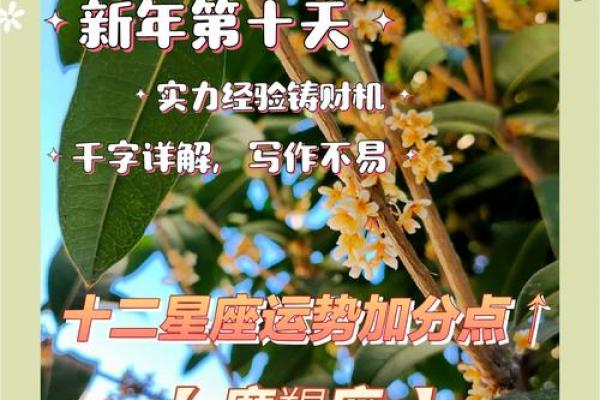 摩羯女今日运势解析星座运势全揭秘