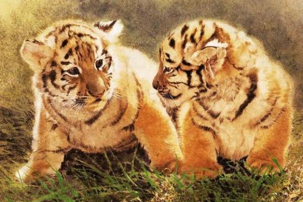 心安理得是什么生肖(心安理得打一数字)