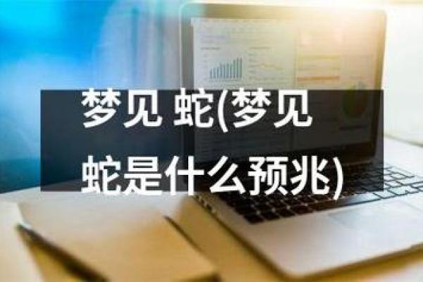 梦到两条蛇是什么征兆 女性