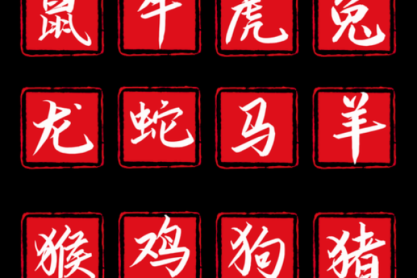 出双入对打一生肖(出双入对猜生肖)