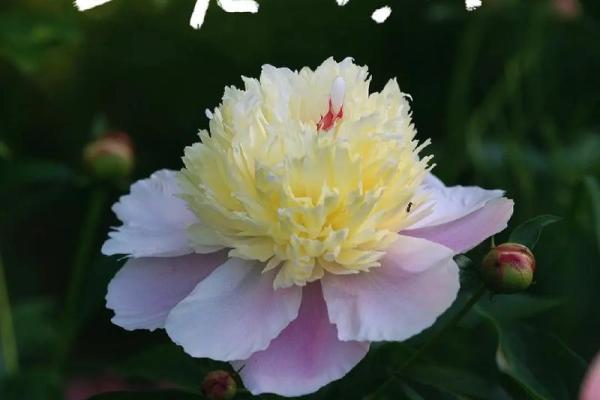 2022年的最后一个节气 2022年的最后一个节气