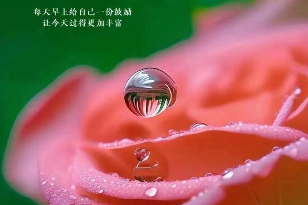 2020最火祝福语 2020最火祝福语