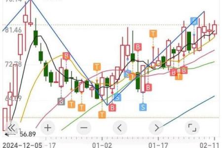 2025年2月11日出生女孩
