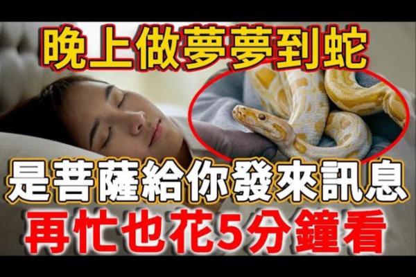 梦见把蛇砍成好几段 梦见把蛇砍成好几段