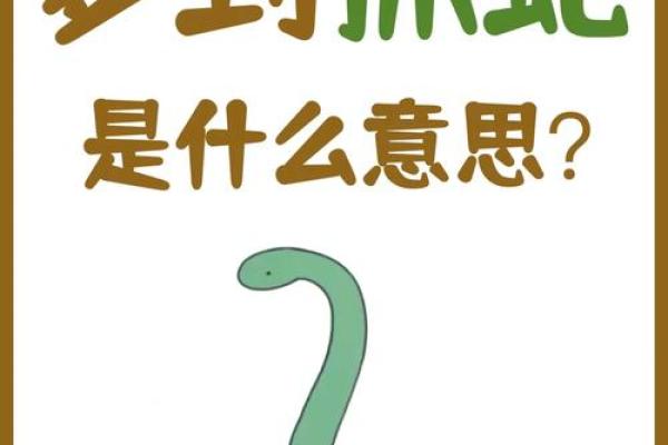 梦见花蛇是什么预兆 女性 梦见花蛇是什么预兆 女性