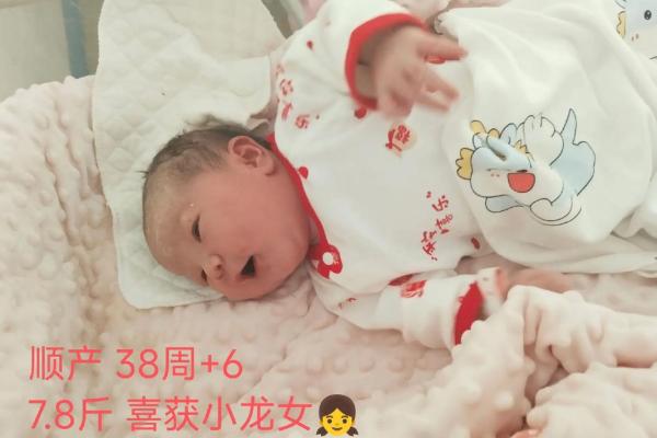 龙女几月结婚大利月