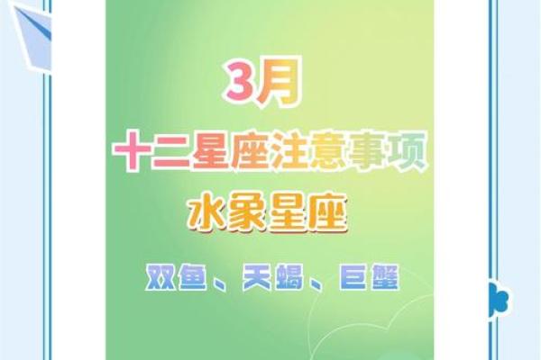 2023星浪星座运势全解析精准预测助你解锁好运