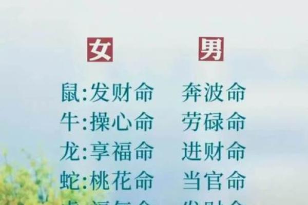 真命天子代表什么生肖(真命天子代表什么生肖精选答案落实)