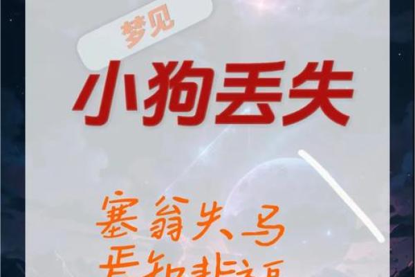 梦见小狗狗一直粘着我