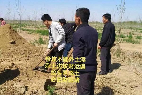 今天坟地能动土吗