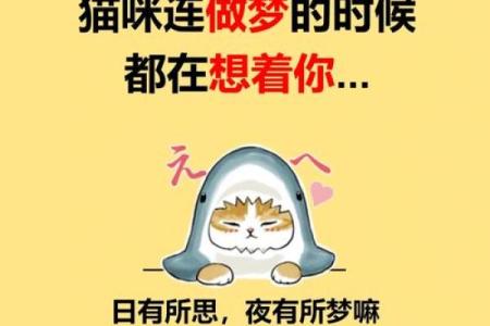 为什么女人梦见猫不好