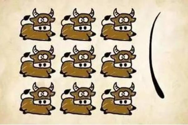 九牛一毛打一生肖(九牛一毛打一生肖数字号码)