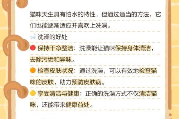 梦见给猫洗澡 梦见给猫洗澡