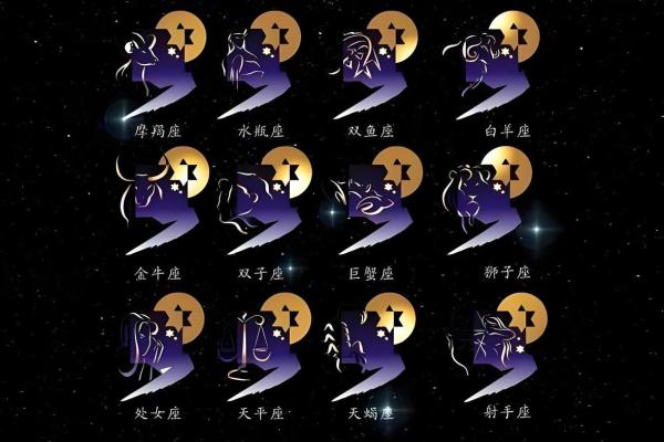 2025年12星座每月运势详解全年运势预测
