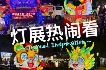 张灯结彩打一个生肖(张灯结彩猜生肖)