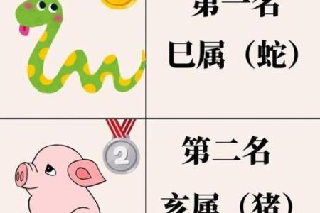 三角恋爱是什么生肖(三角恋爱指什么动物)