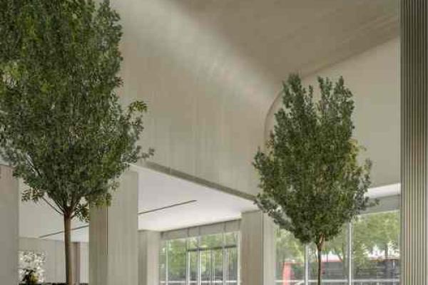 山鸣谷应打一生肖(山鸣谷应什么意思) 山鸣谷应打一生肖(山鸣谷应什么意思)