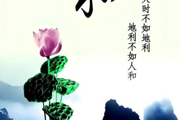 巧妙利用风水,提升您婚姻幸福 巧妙利用风水,提升您婚姻幸福