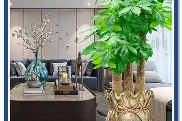 家里装修放什么植物,对风水好 家里装修放什么植物,对风水好